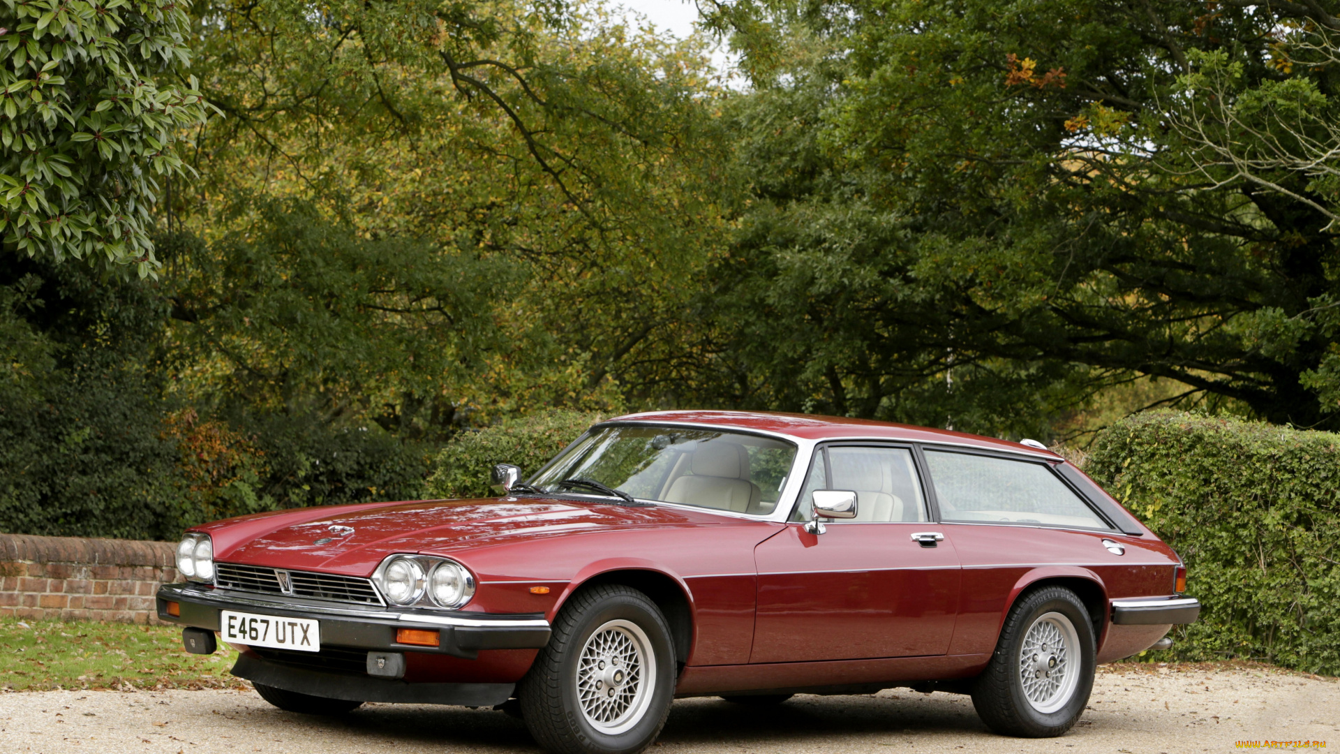 автомобили, jaguar, lynx