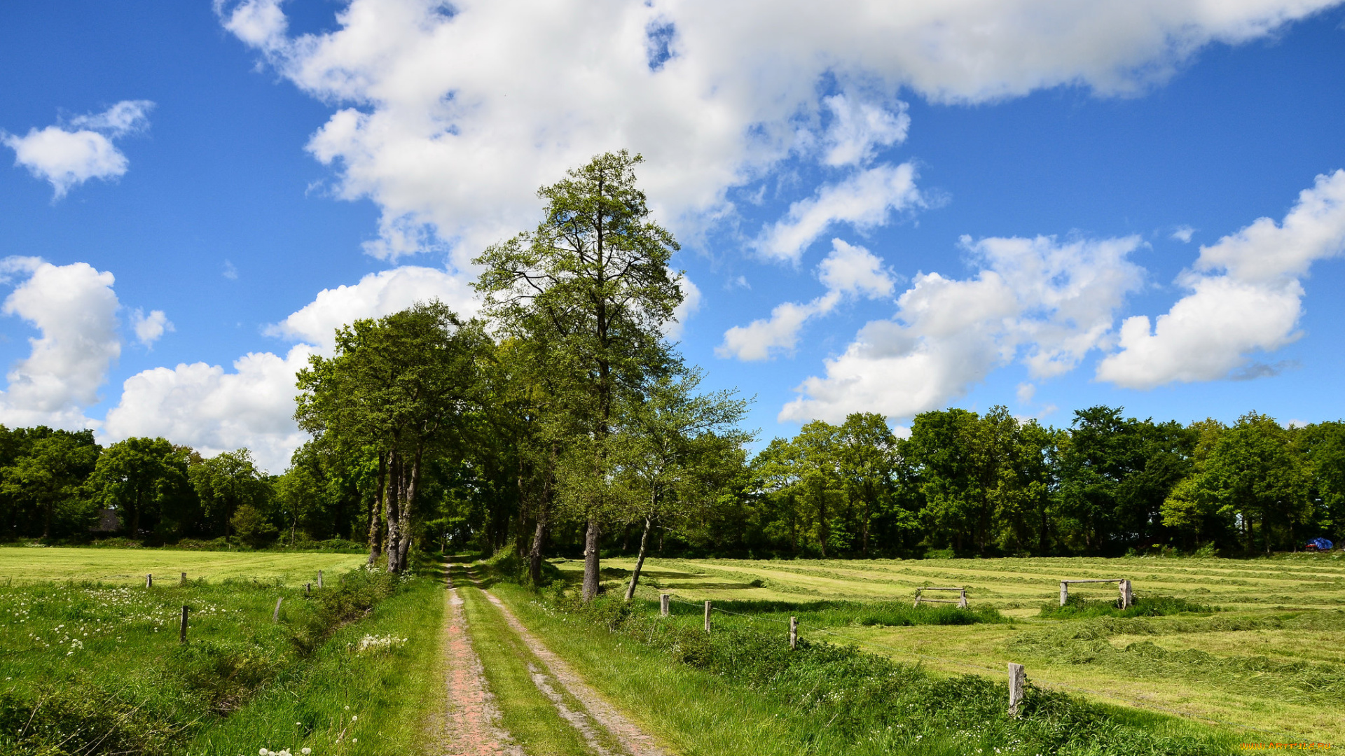 природа, дороги, тракт