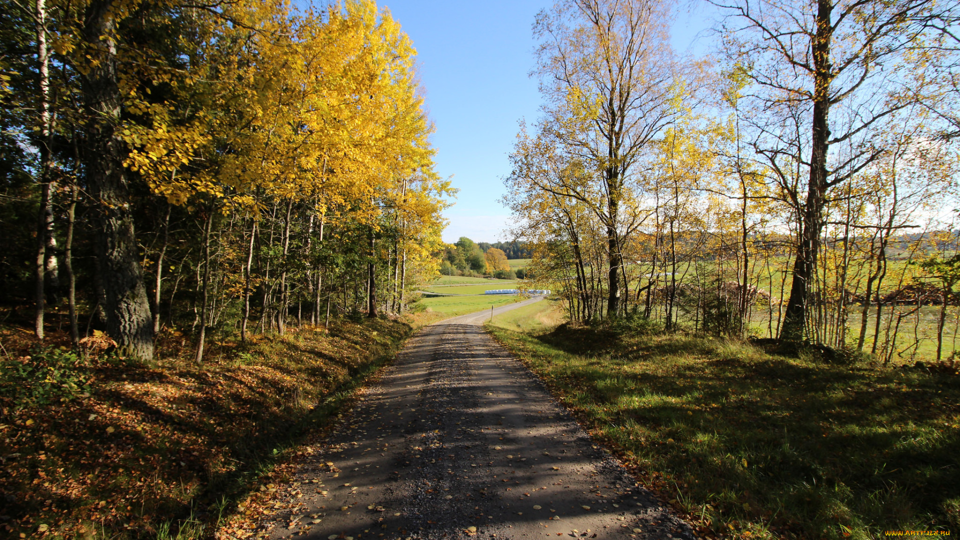 природа, дороги, тракт