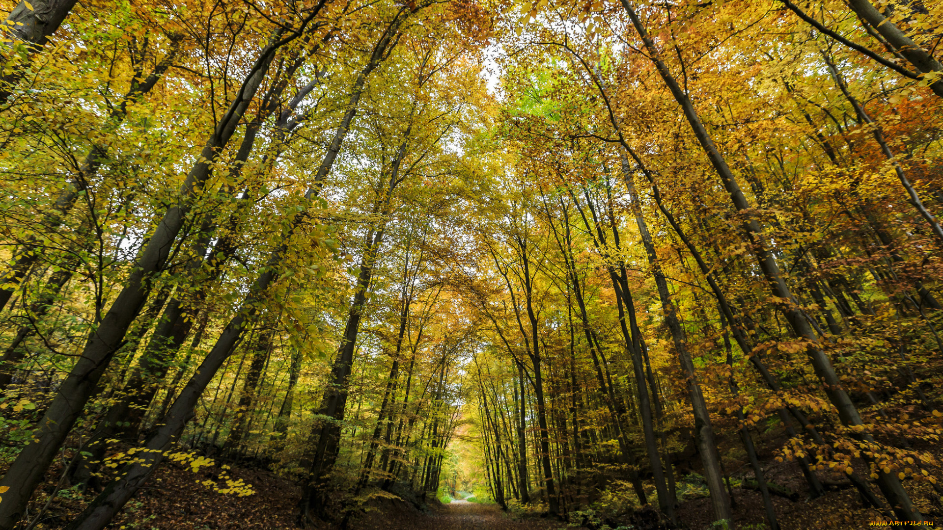 природа, дороги, тракт