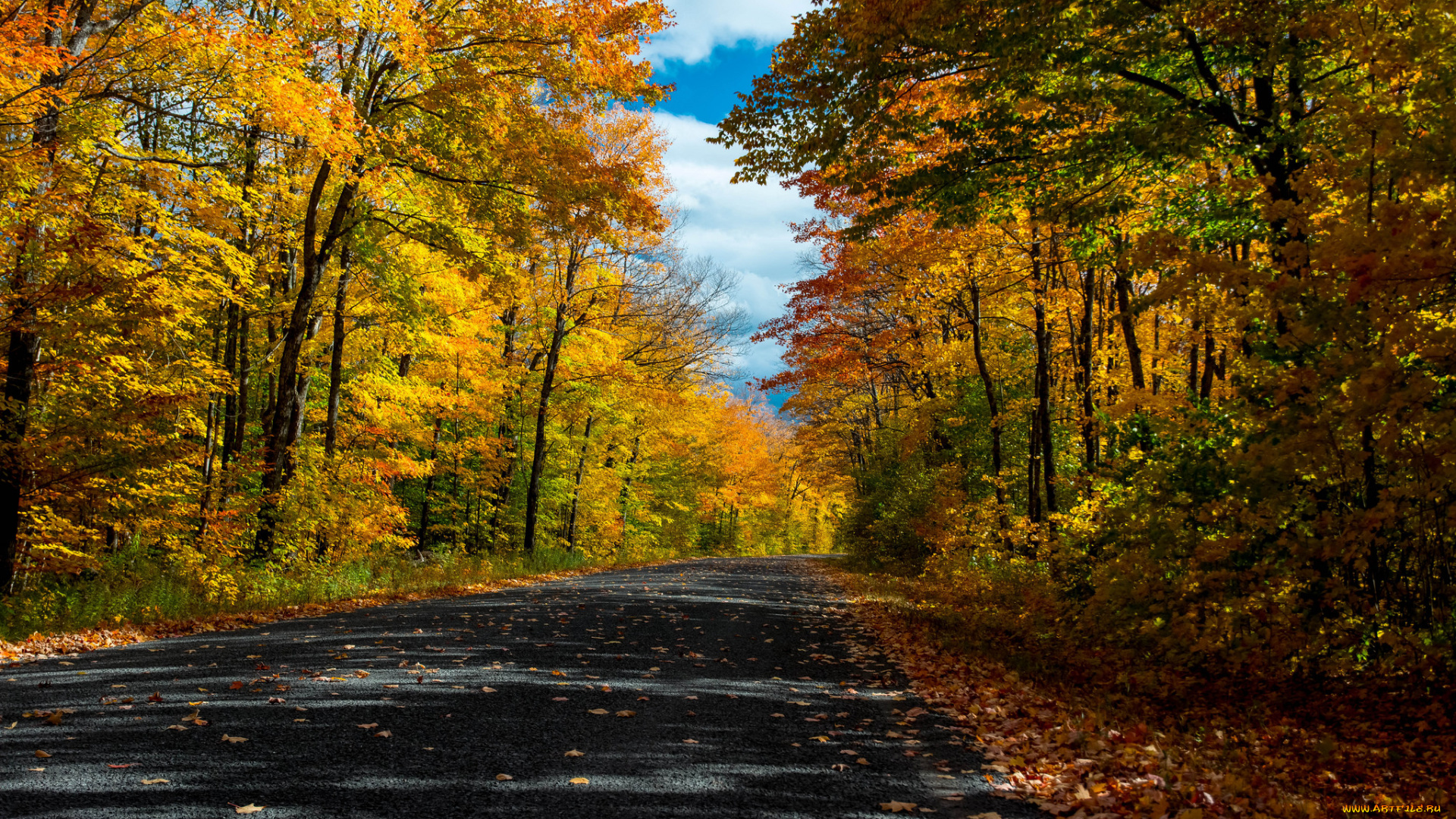 природа, дороги, тракт