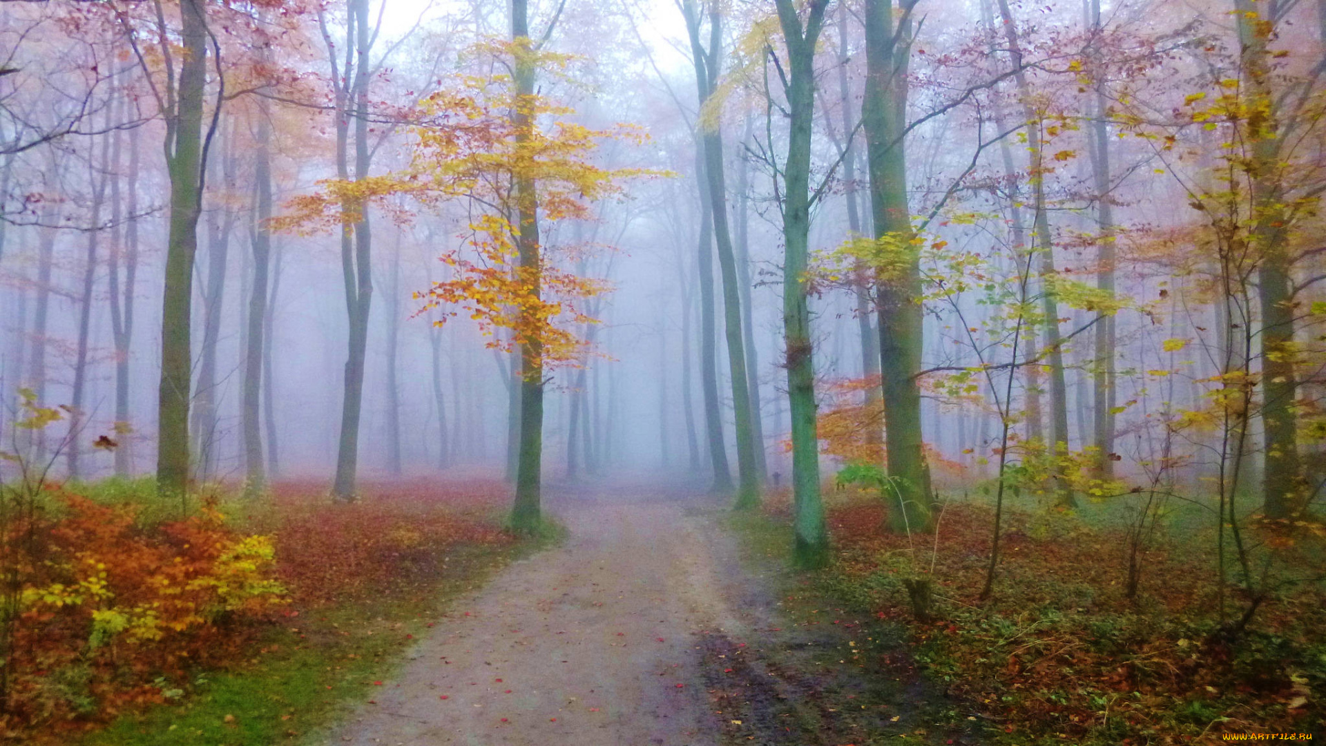 природа, дороги, тракт