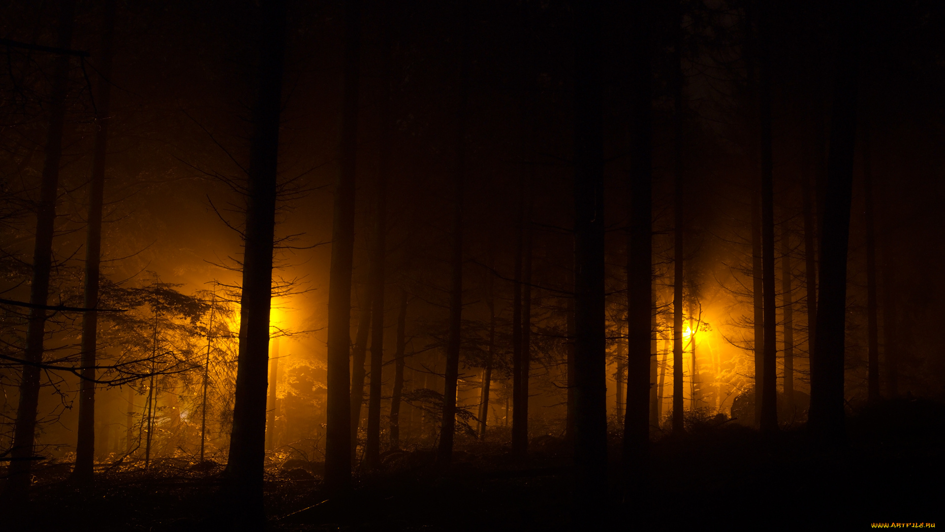 природа, парк, деревья, лес