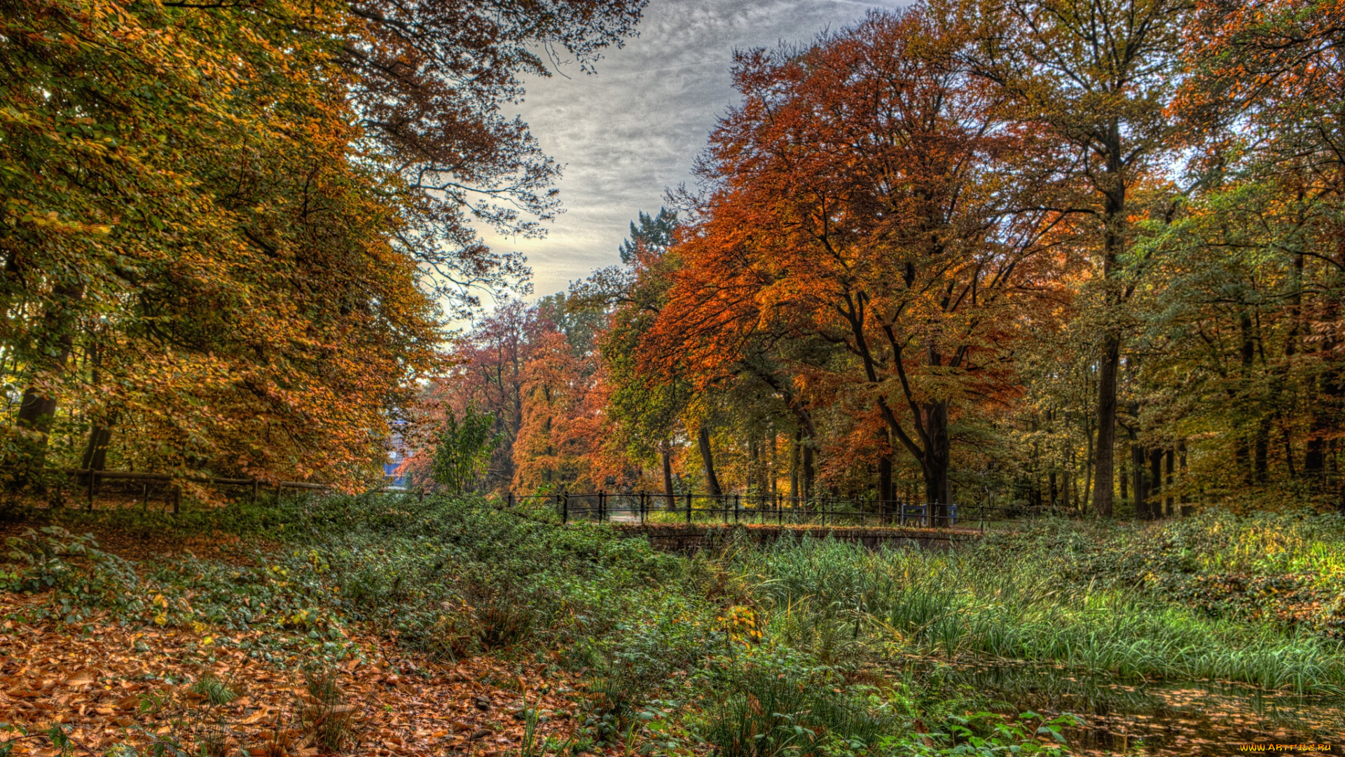 природа, пейзажи, простор