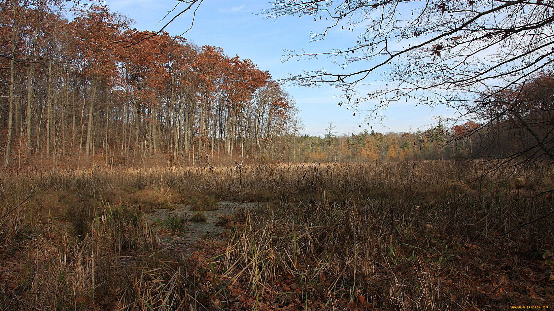 природа, пейзажи, простор