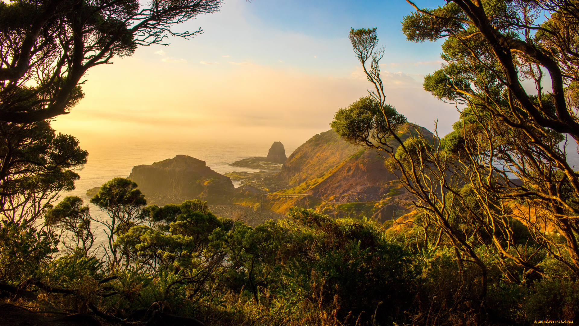 природа, побережье, берег, море