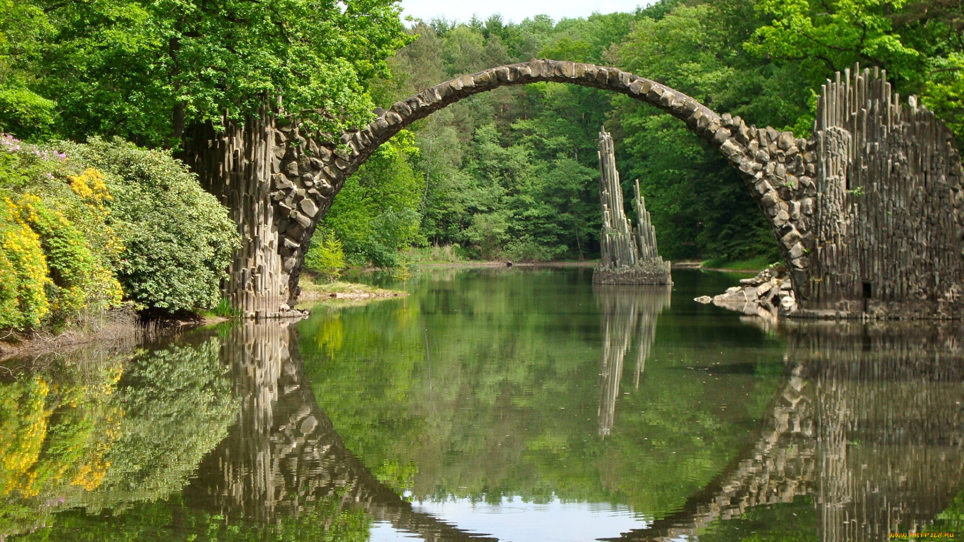 природа, реки, озера, лес, река