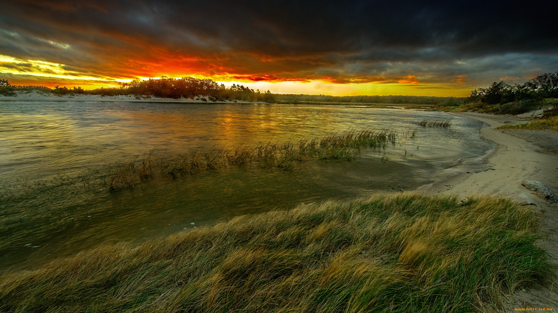 природа, реки, озера, лес, река