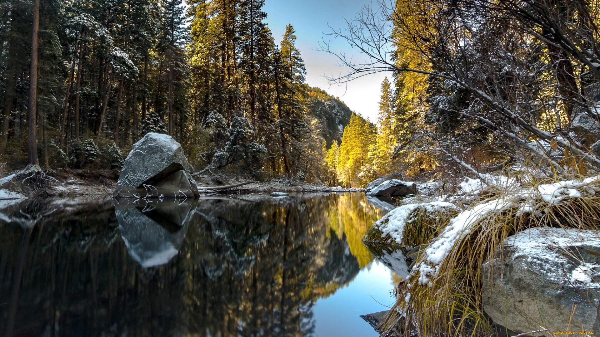 природа, реки, озера, лес, река