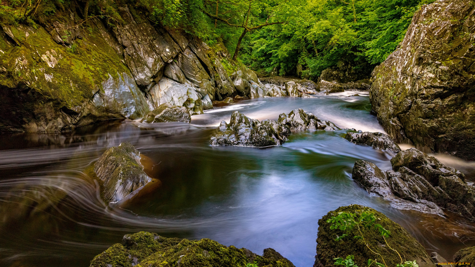 природа, реки, озера, лес, река