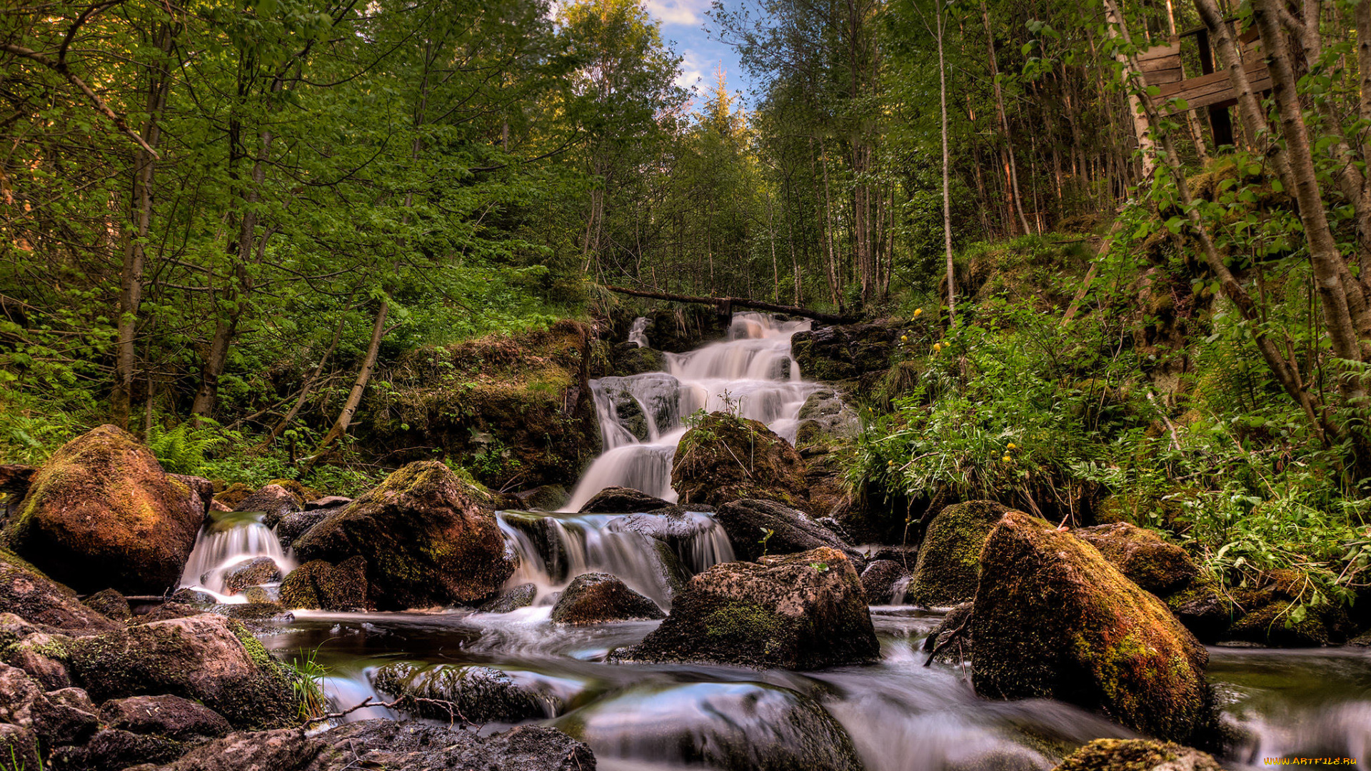 природа, реки, озера, река, лес