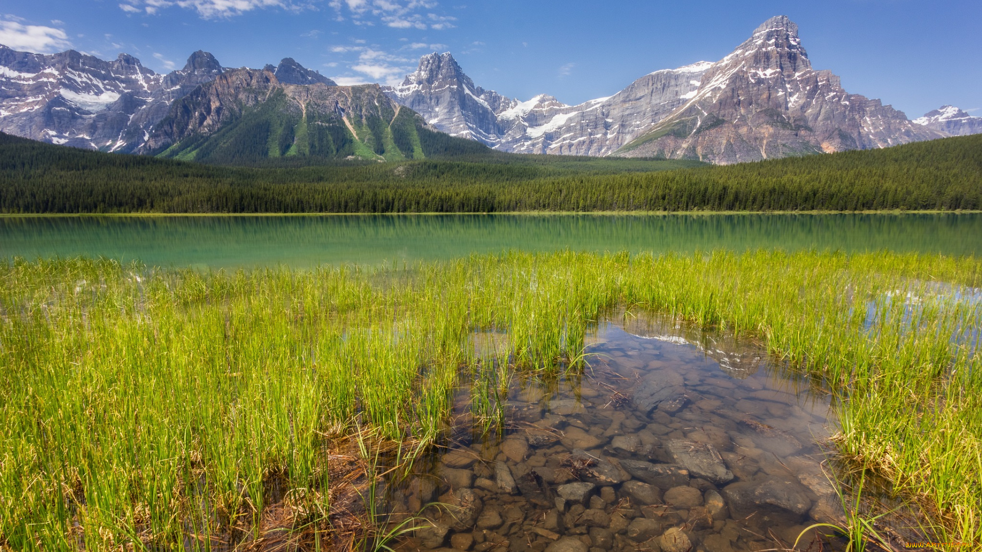 природа, реки, озера, река, лес