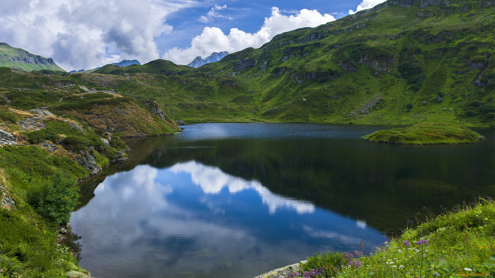 природа, реки, озера, река, лес