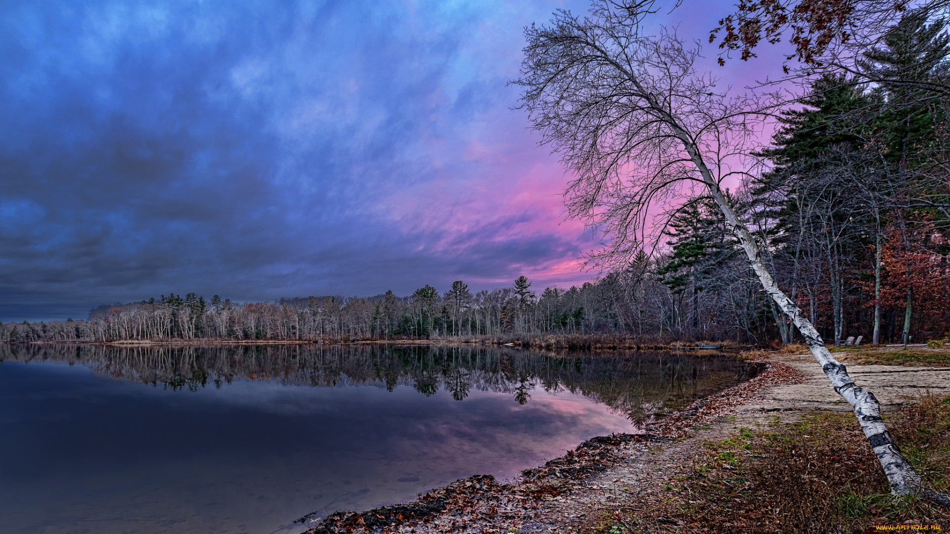 природа, реки, озера, река, лес