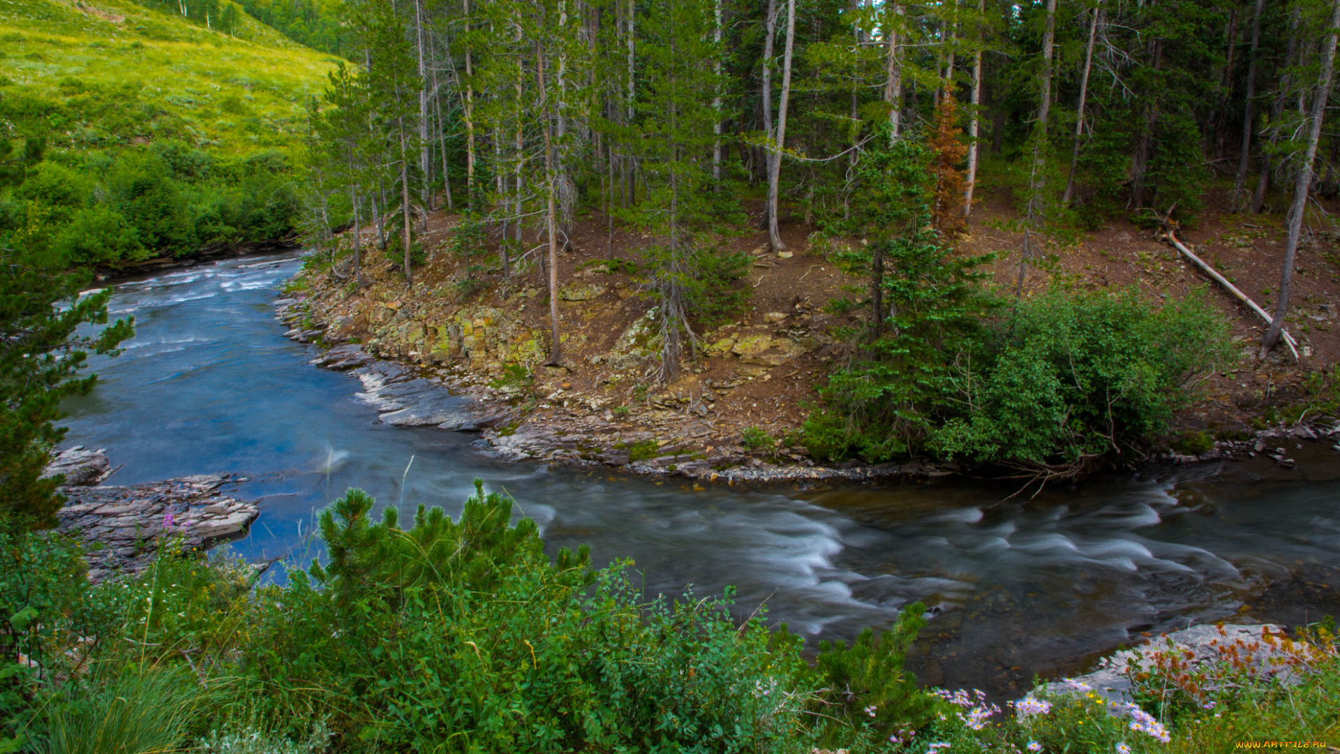 природа, реки, озера, река, лес