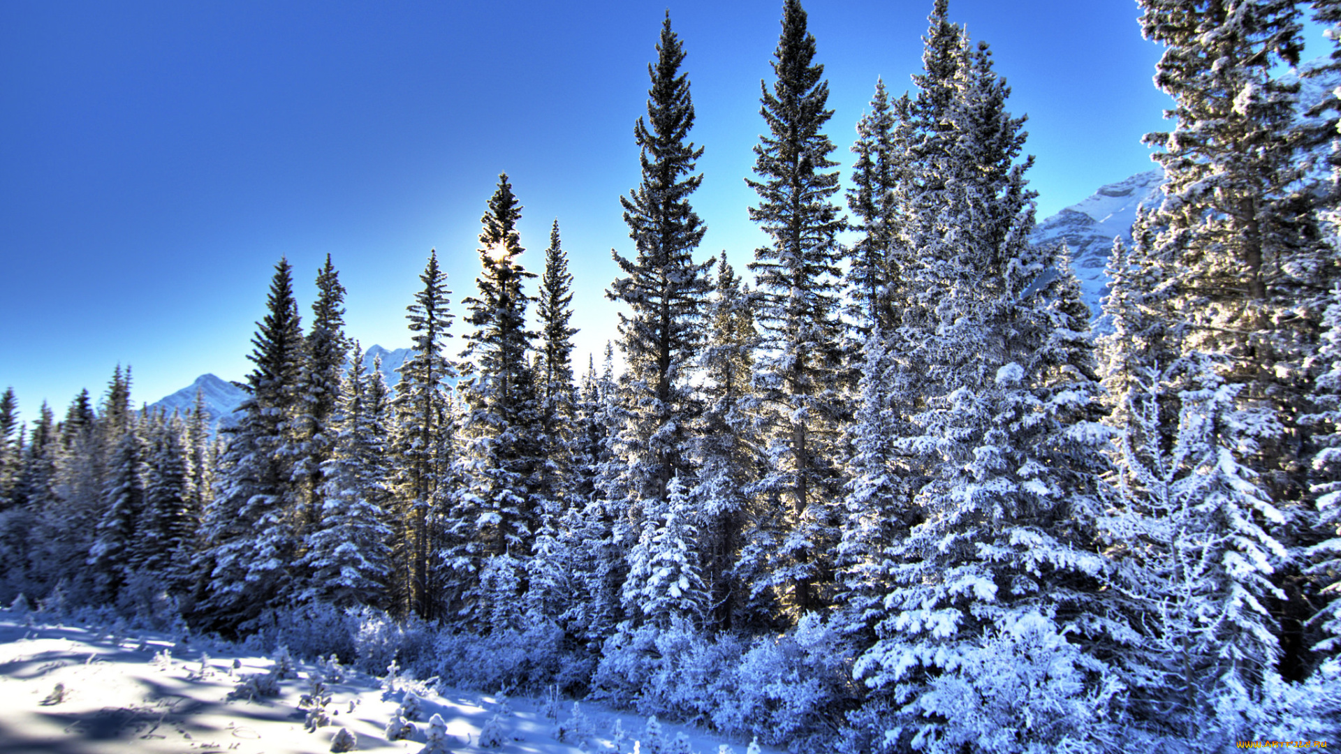 природа, зима, снег