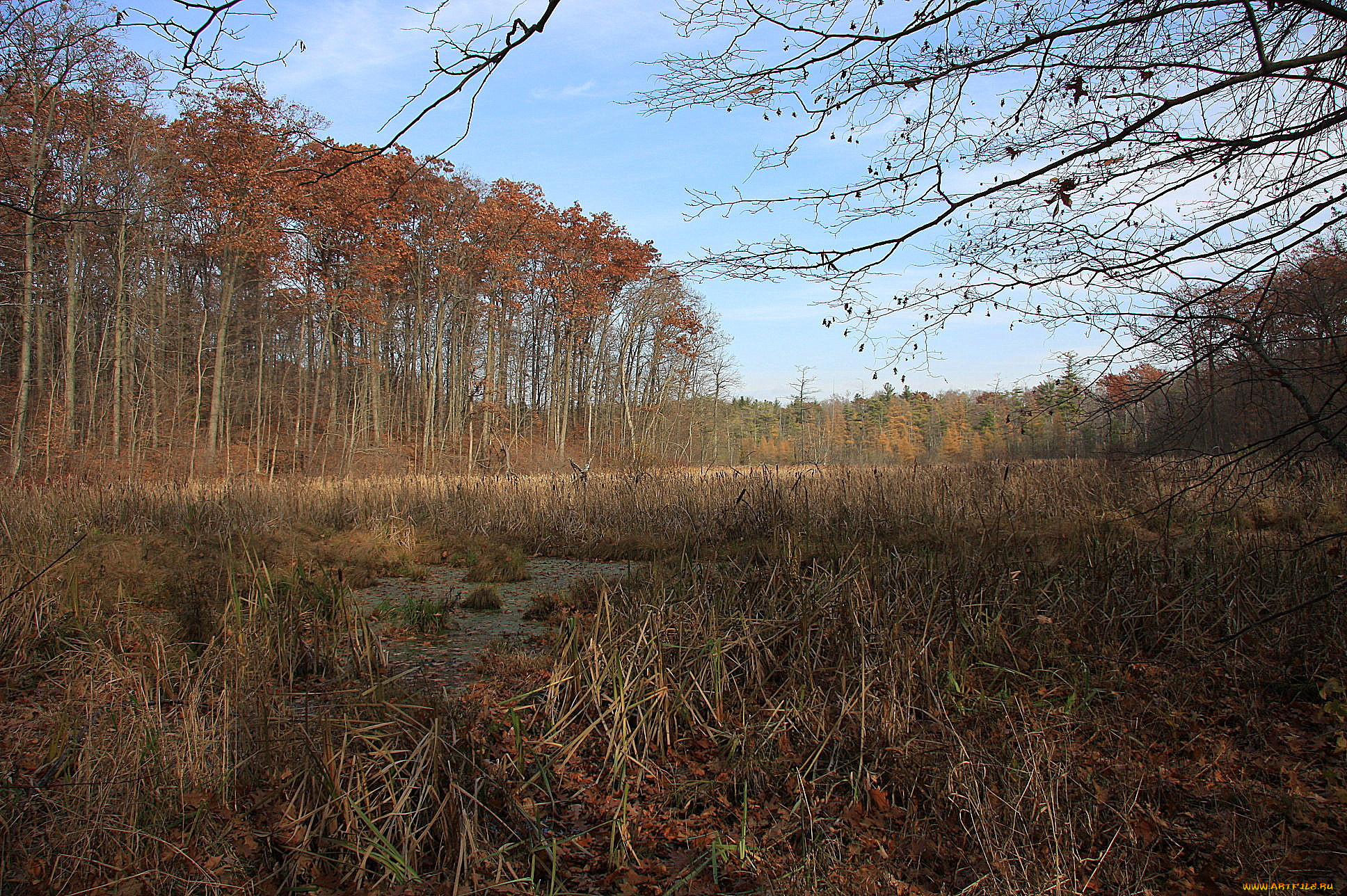 природа, пейзажи, простор