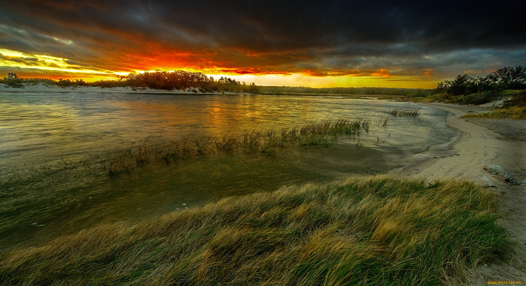 природа, реки, озера, лес, река