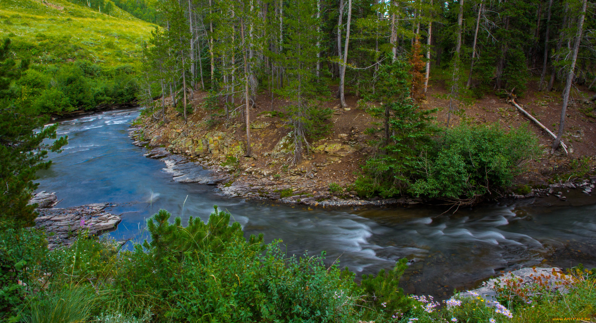 природа, реки, озера, река, лес