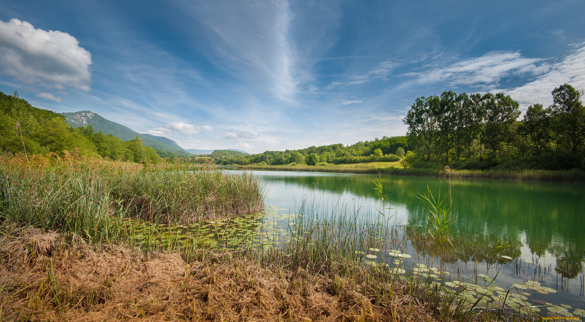 природа, реки, озера, река, лес