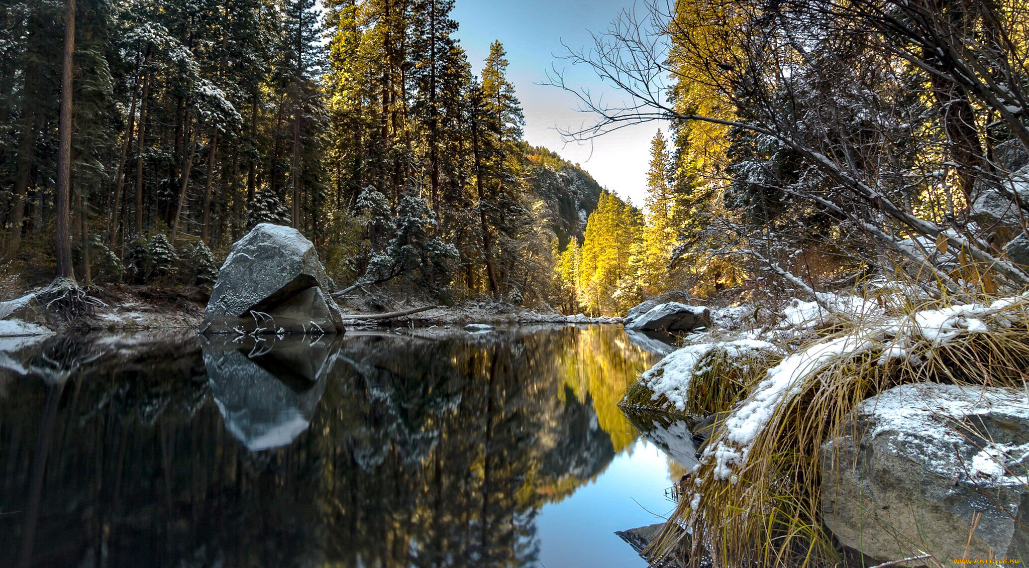 природа, реки, озера, лес, река