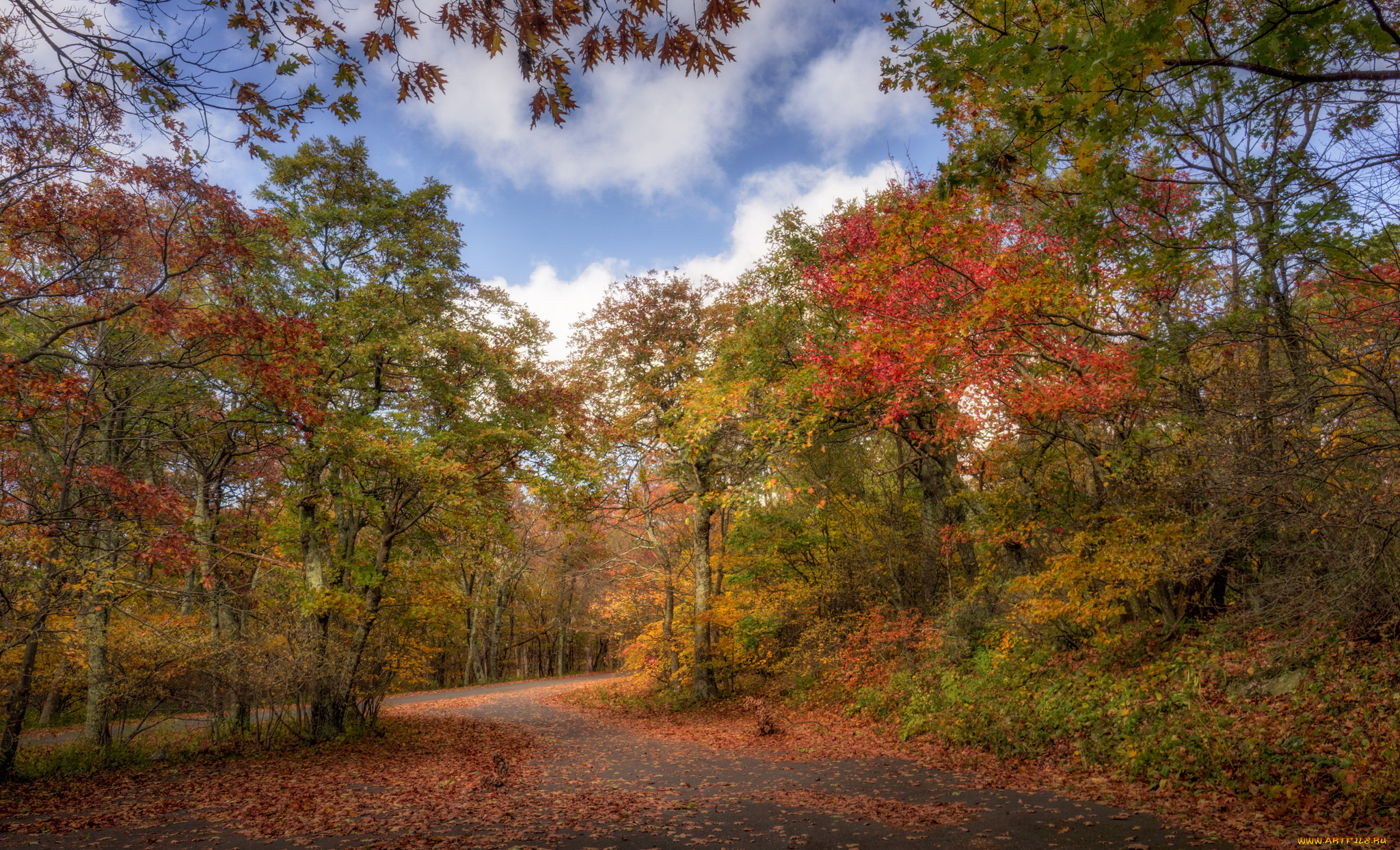 природа, дороги, тракт