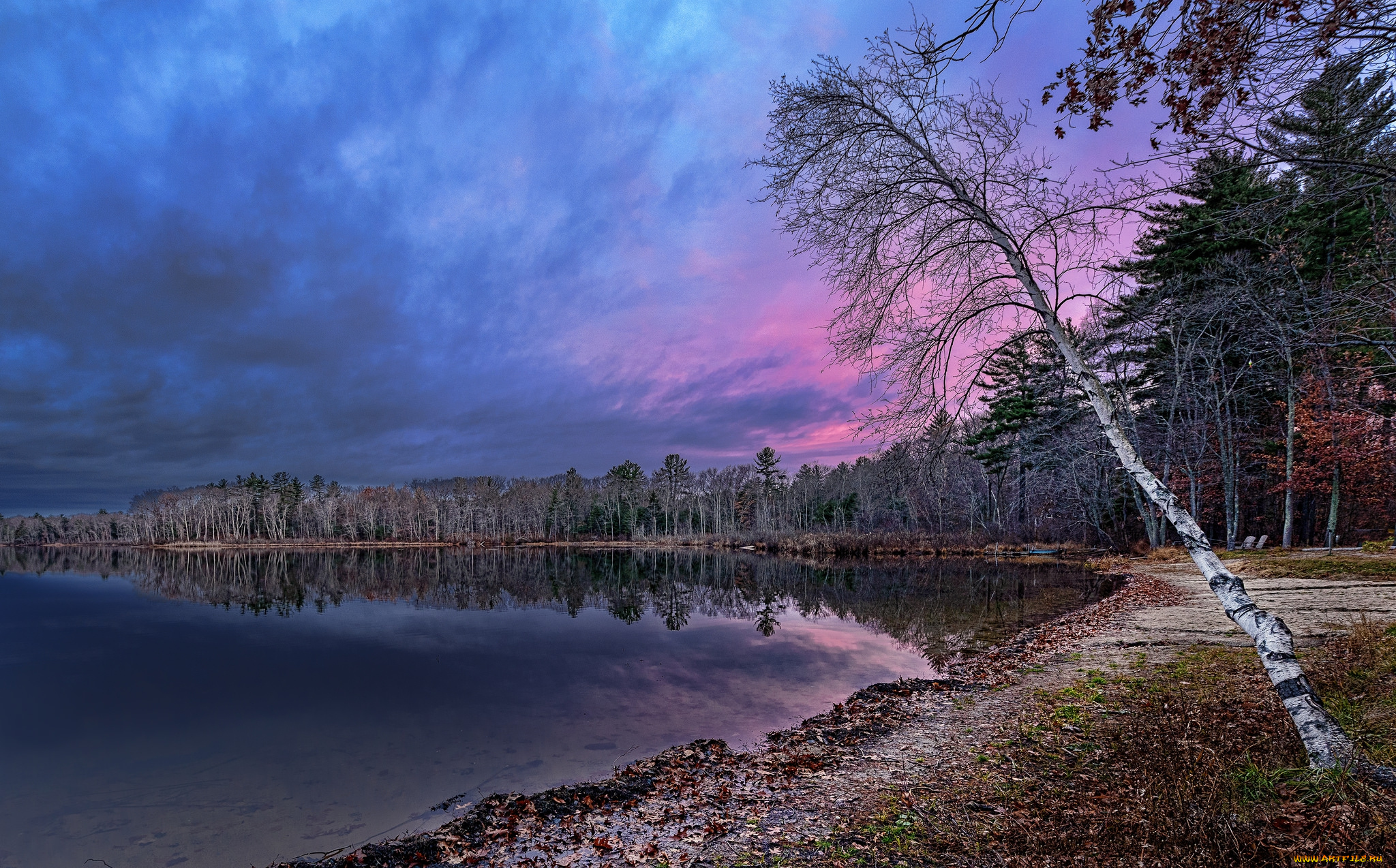 природа, реки, озера, река, лес