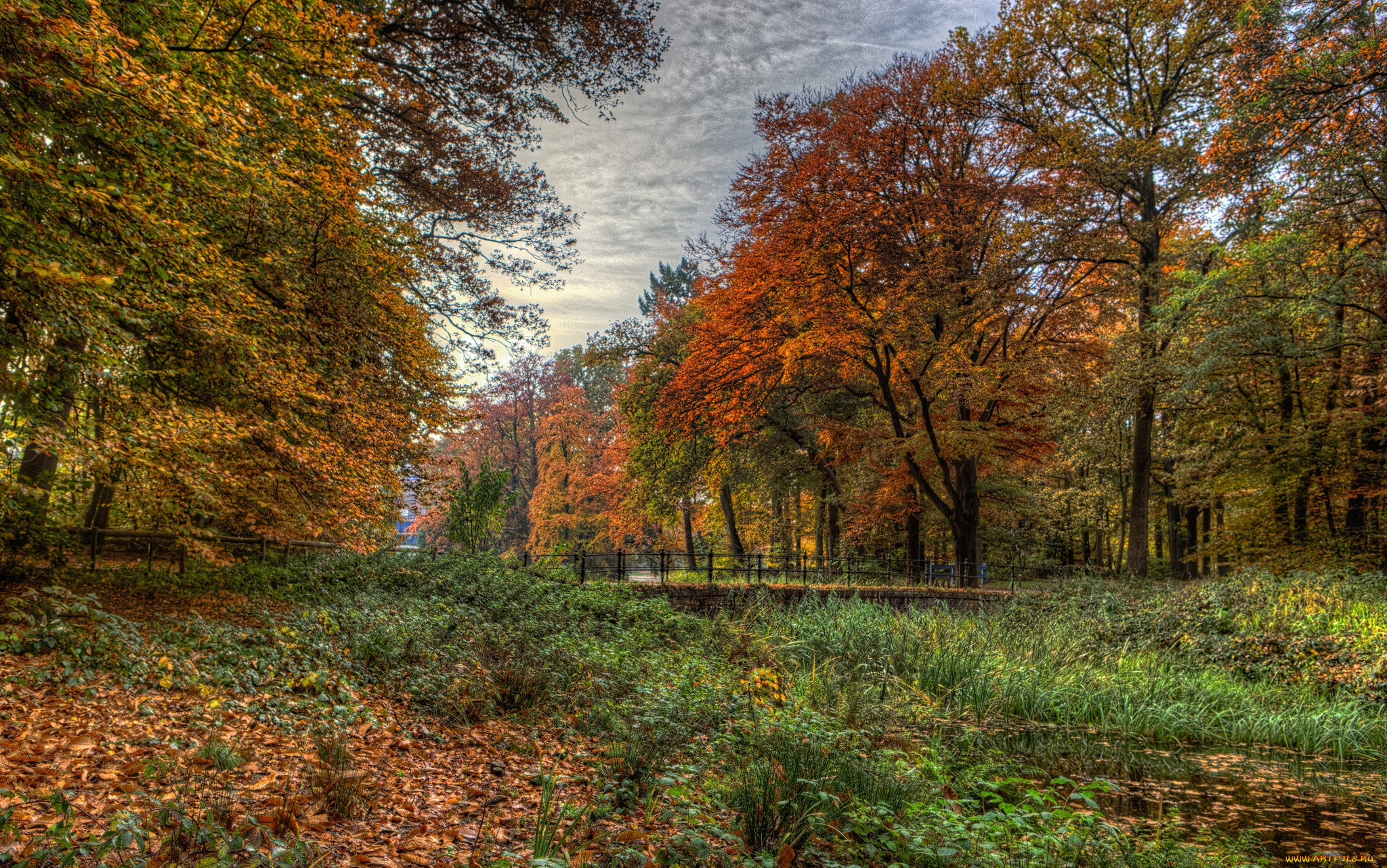 природа, пейзажи, простор