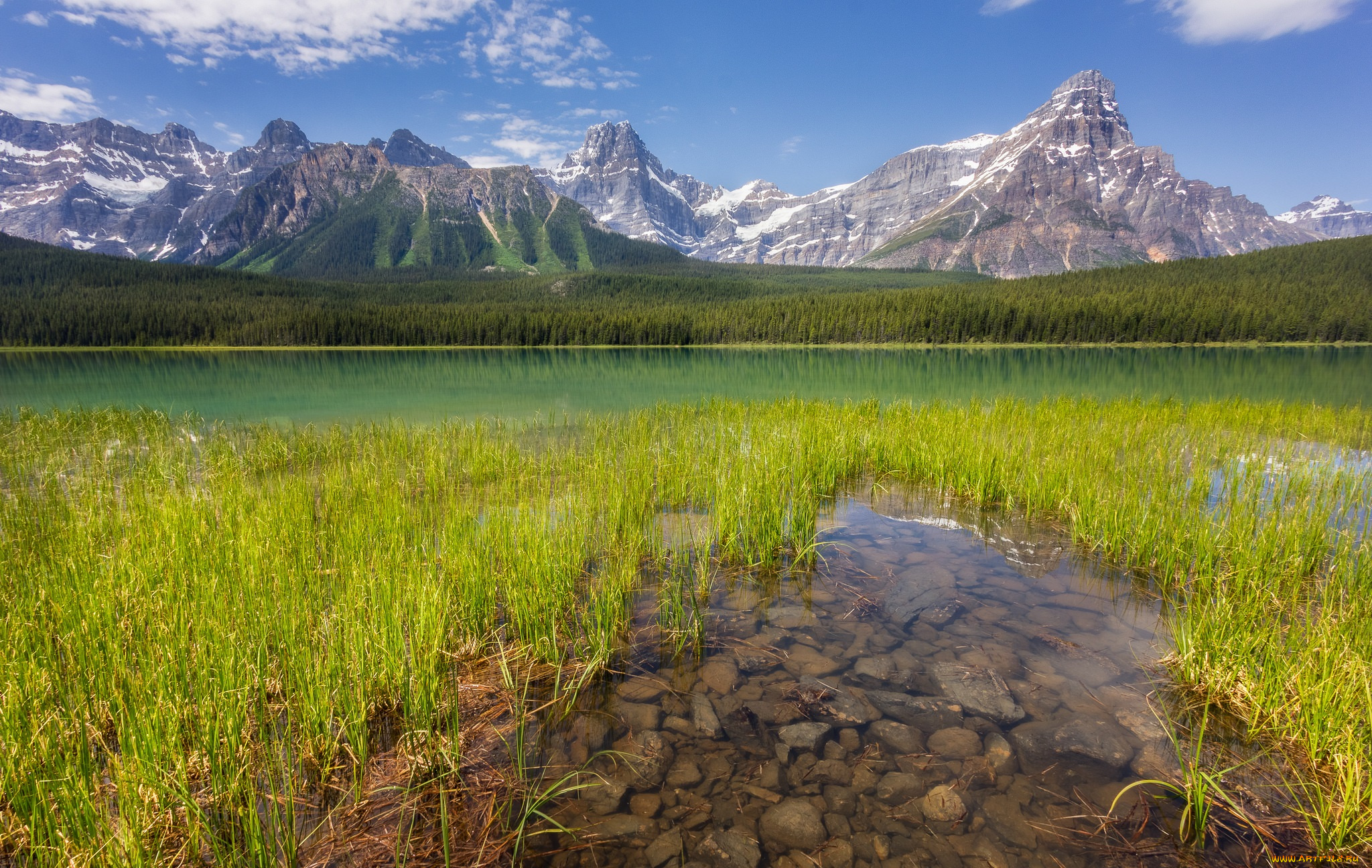 природа, реки, озера, река, лес