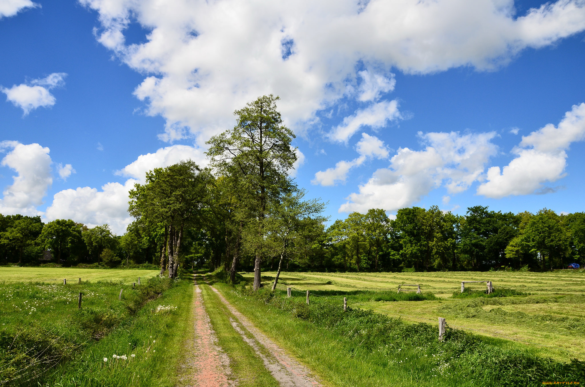 природа, дороги, тракт