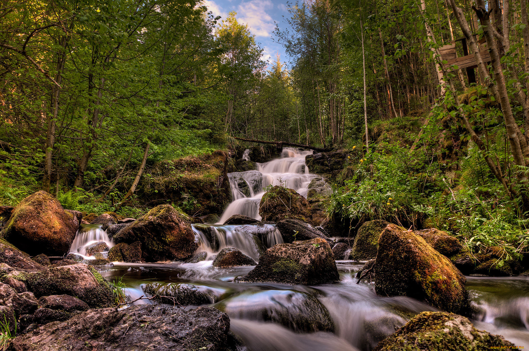 природа, реки, озера, река, лес