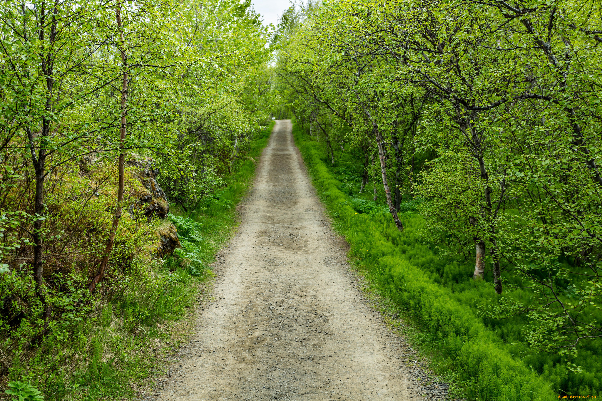 природа, дороги, тракт