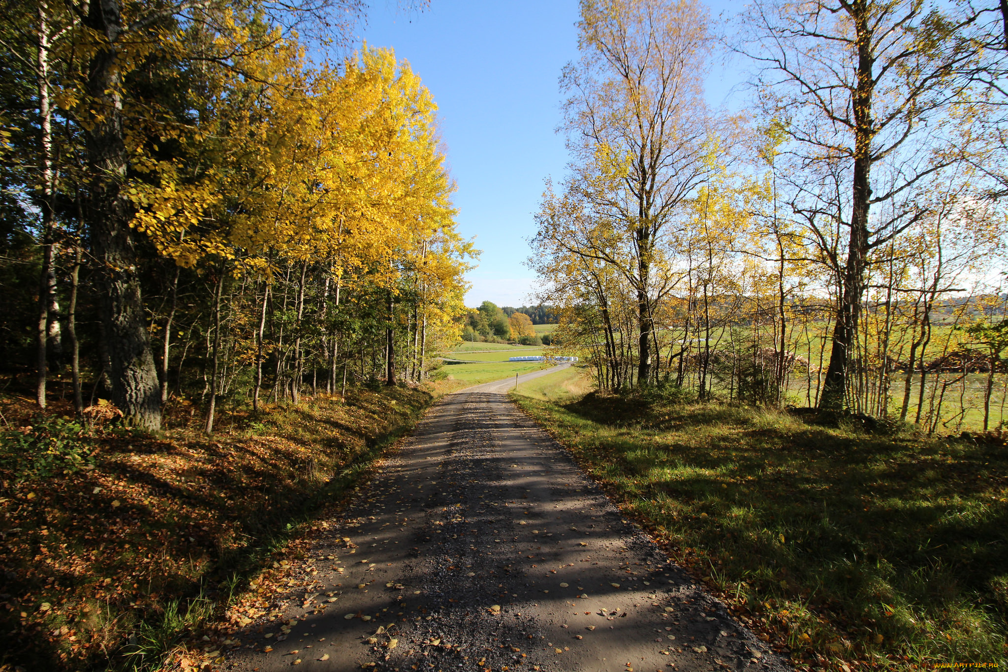 природа, дороги, тракт