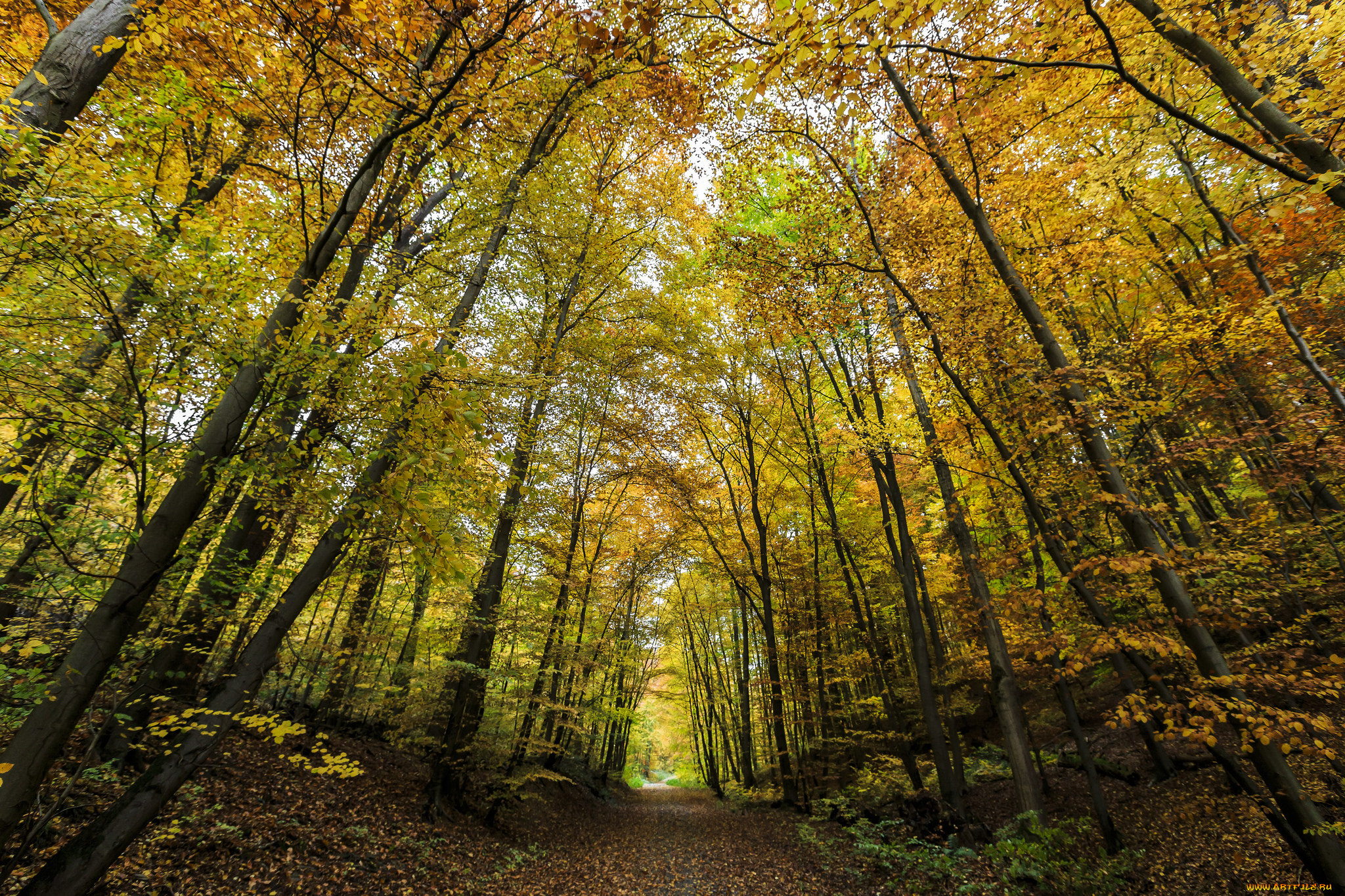 природа, дороги, тракт