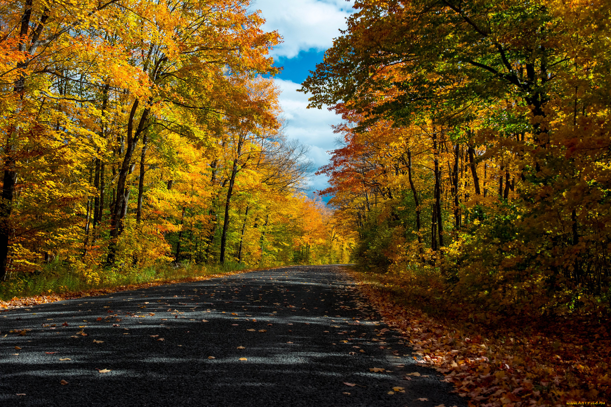 природа, дороги, тракт