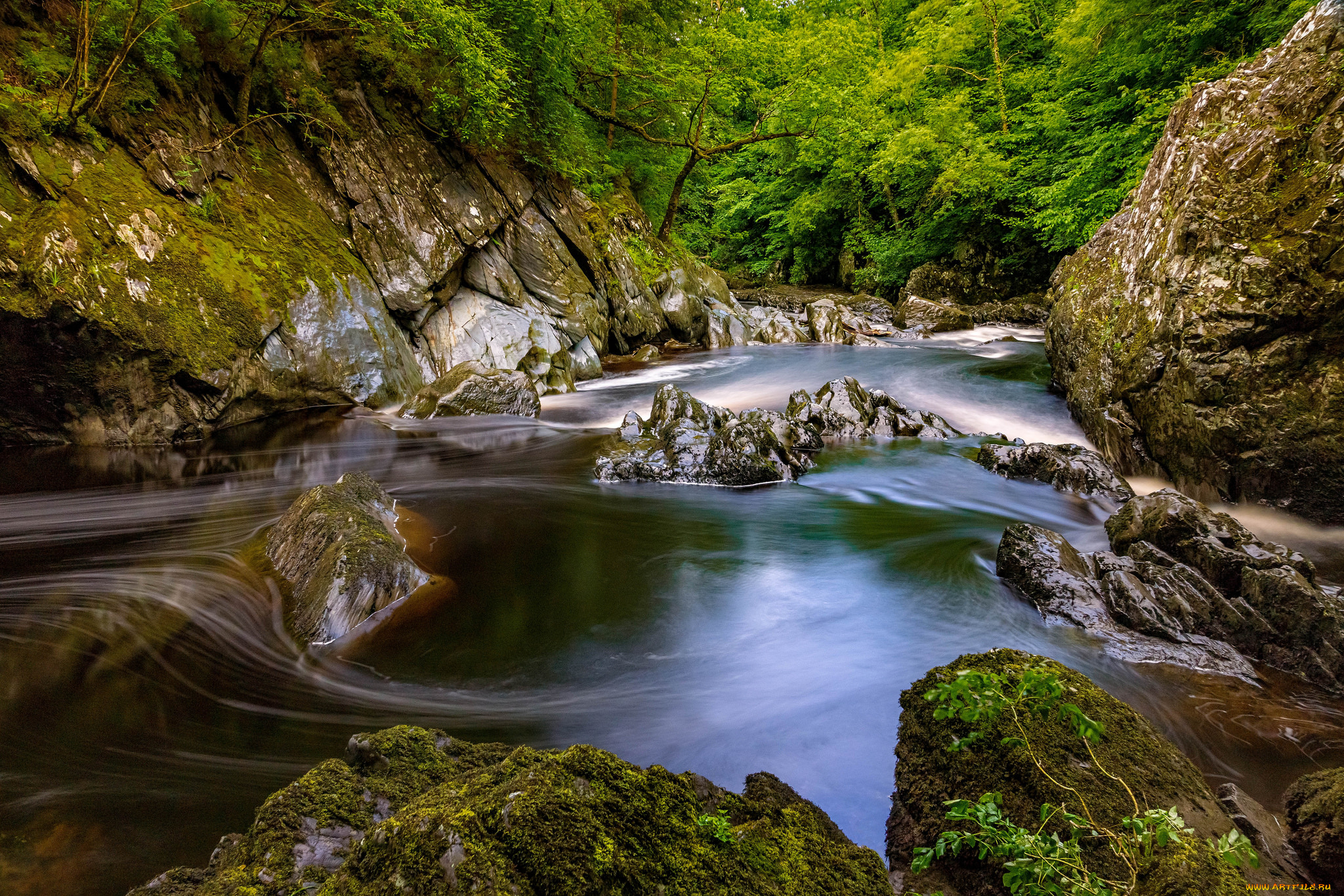 природа, реки, озера, лес, река