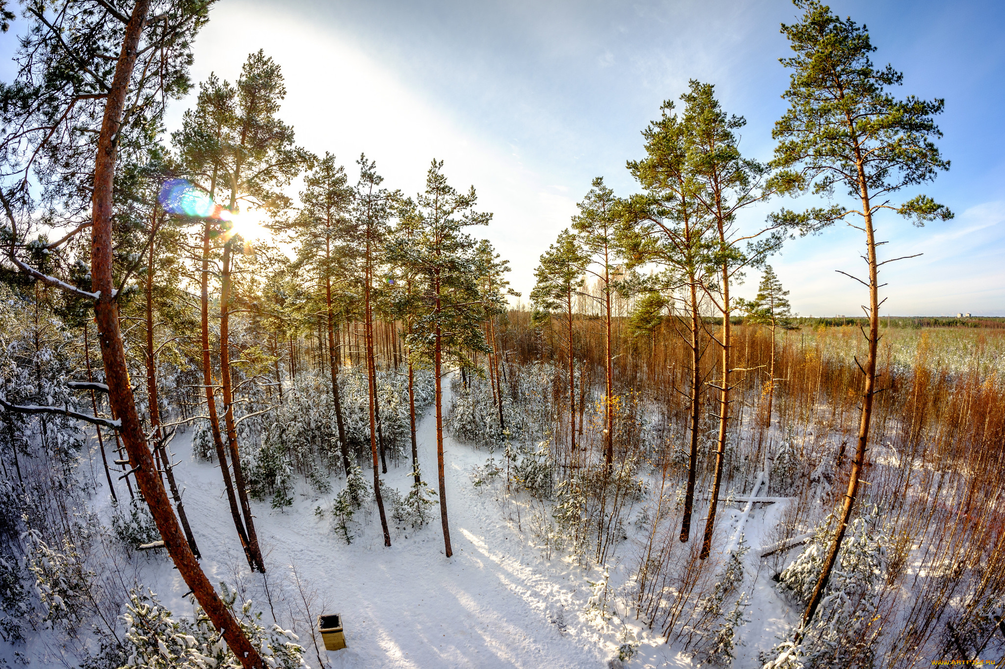 природа, зима, снег