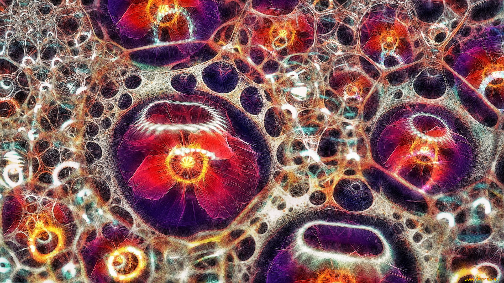 3д, графика, фракталы, , fractal, линии, фрактал, узор