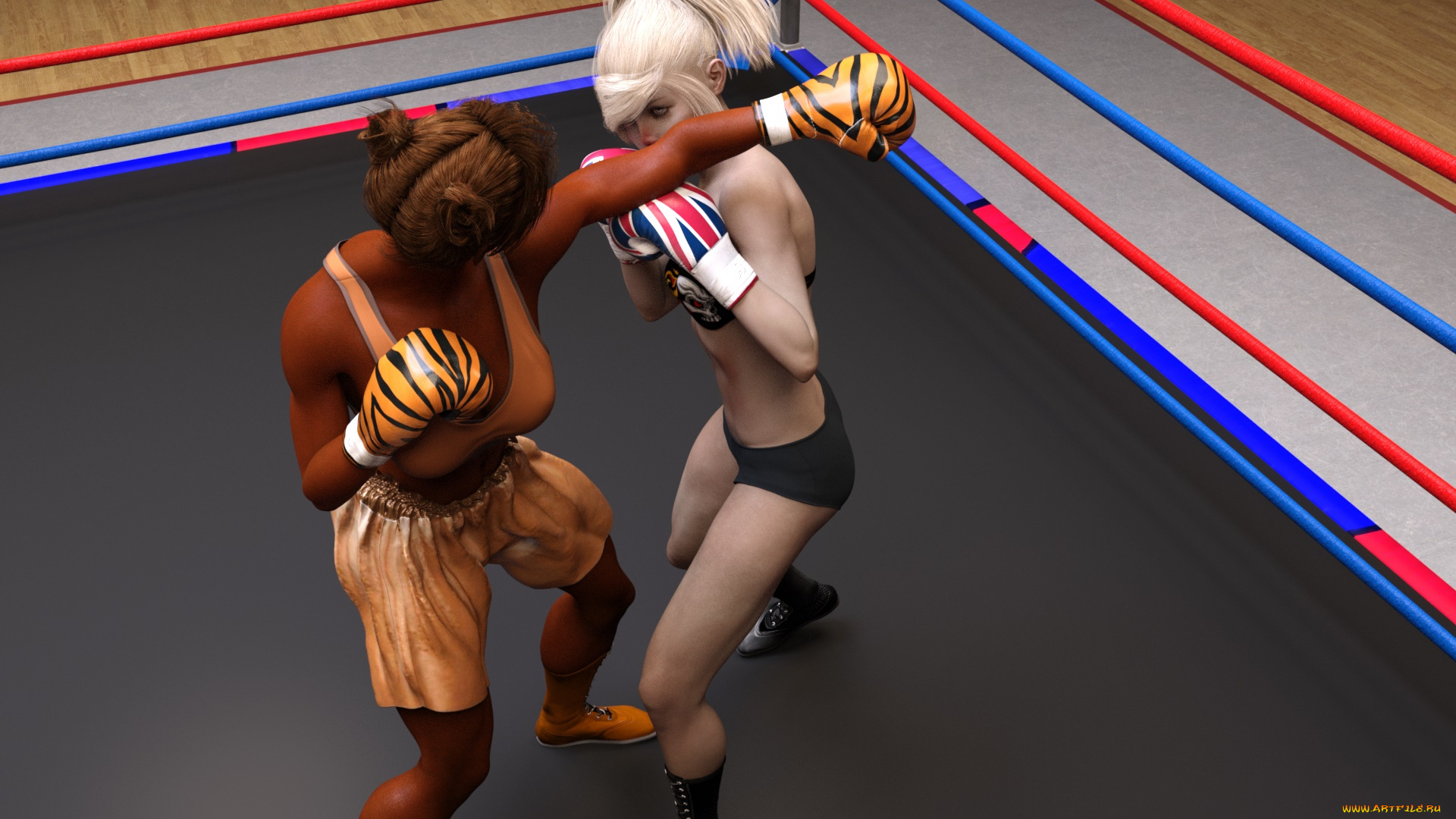 3д, графика, спорт, , sport, взгляд, девушки, бокс, ринг, фон