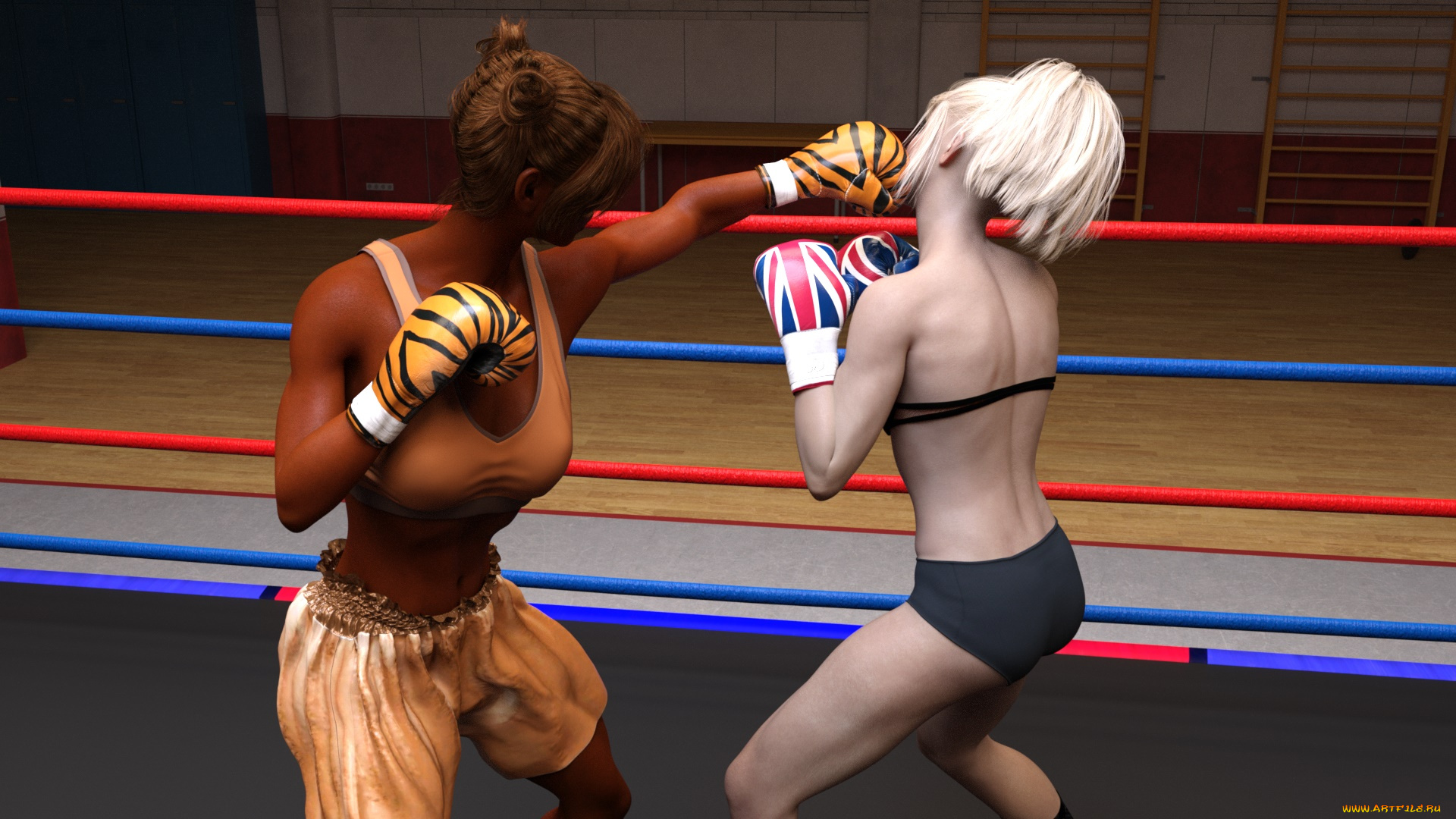 3д, графика, спорт, , sport, взгляд, девушки, бокс, ринг, фон