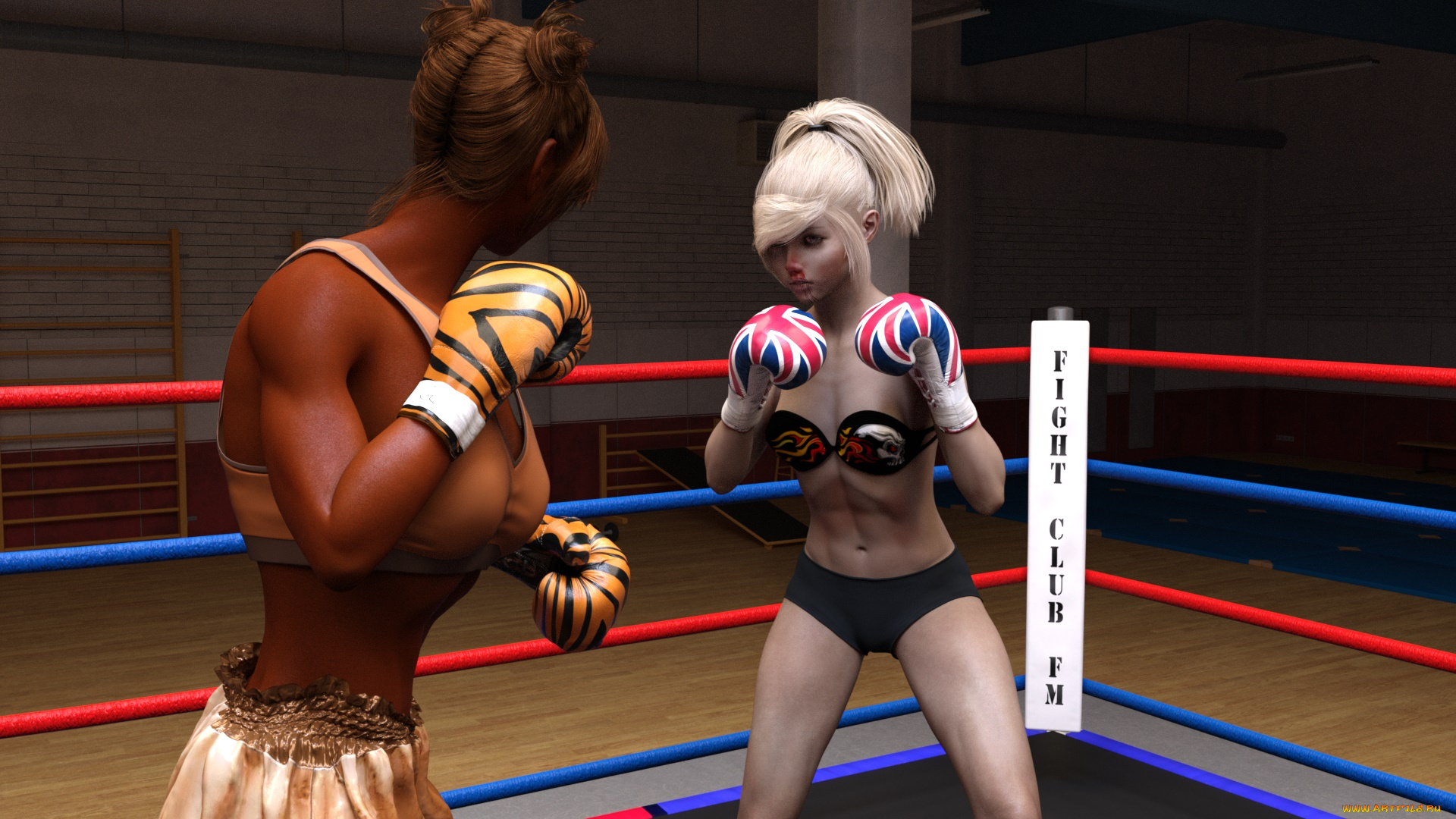 3д, графика, спорт, , sport, взгляд, девушки, бокс, ринг, фон