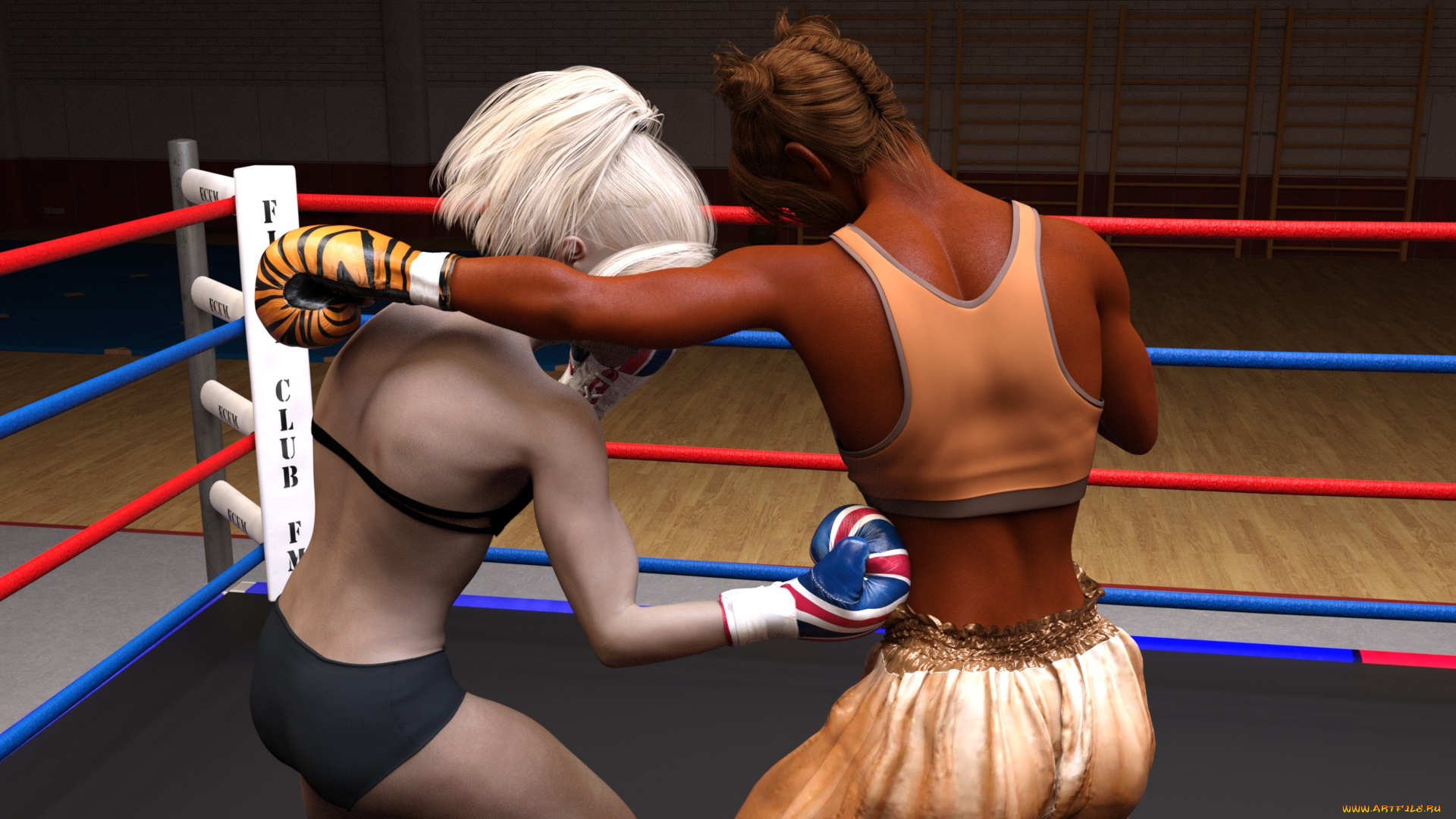 3д, графика, спорт, , sport, взгляд, фон, ринг, бокс, девушки