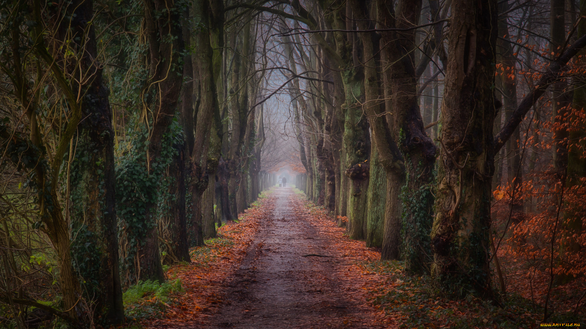 природа, дороги, простор