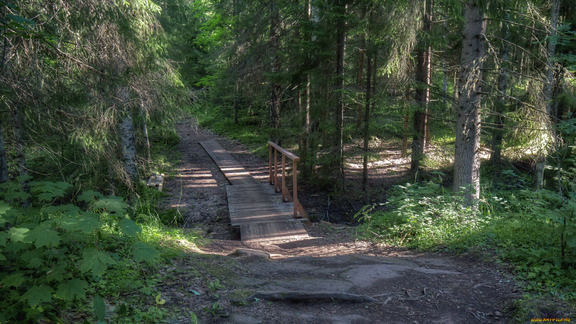 природа, дороги, простор