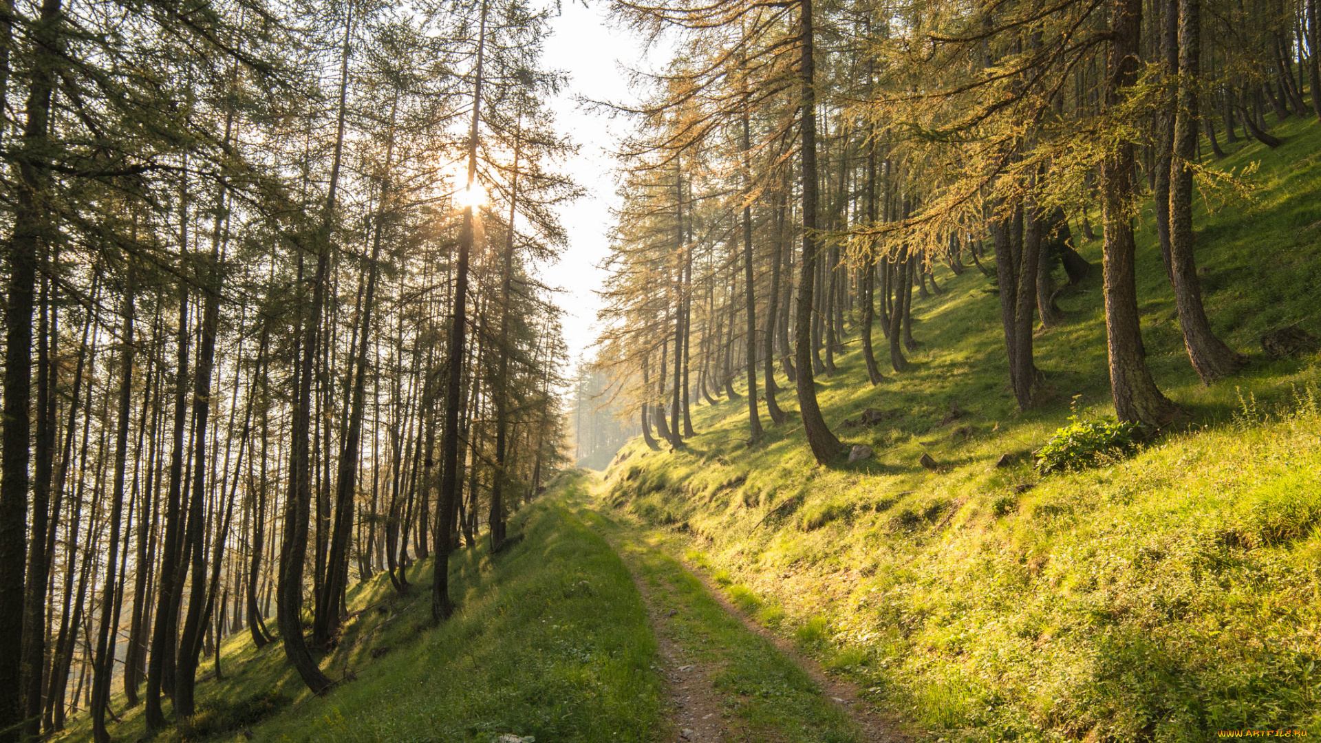 природа, дороги, простор