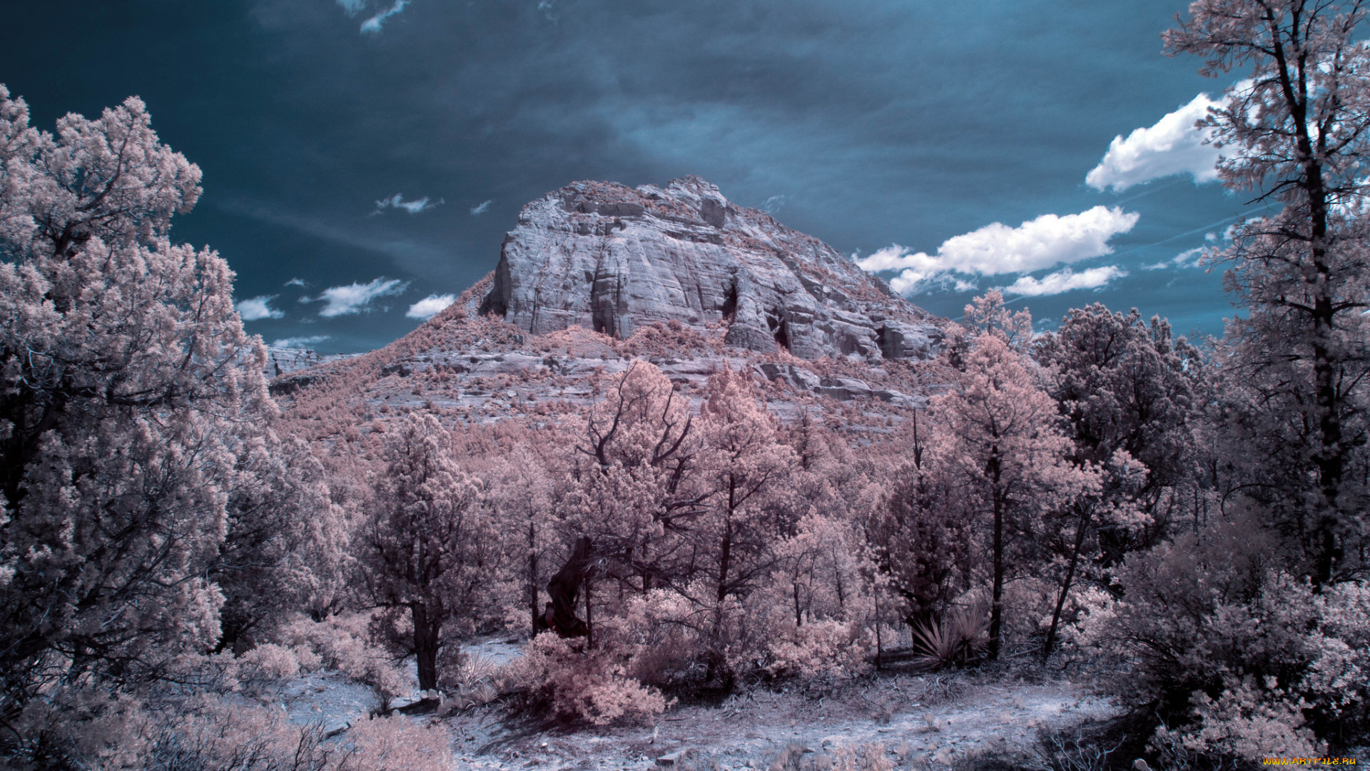 природа, горы, простор