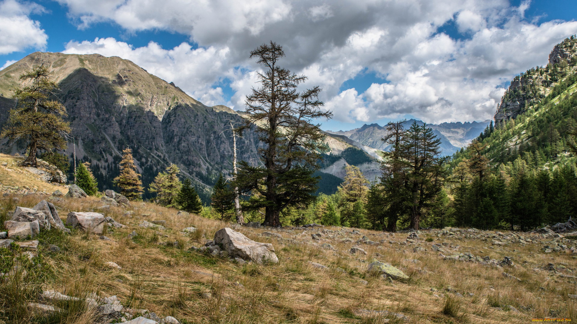 природа, горы, простор