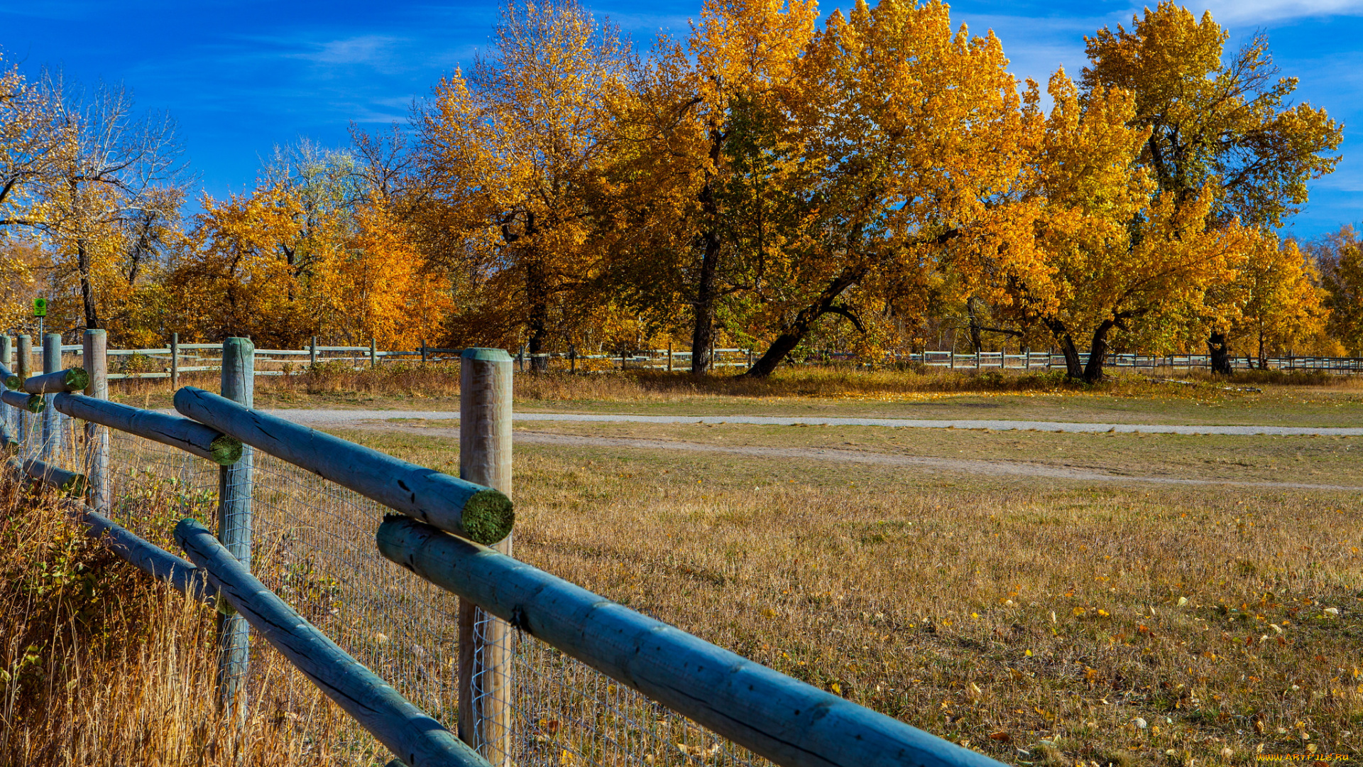 природа, пейзажи, простор