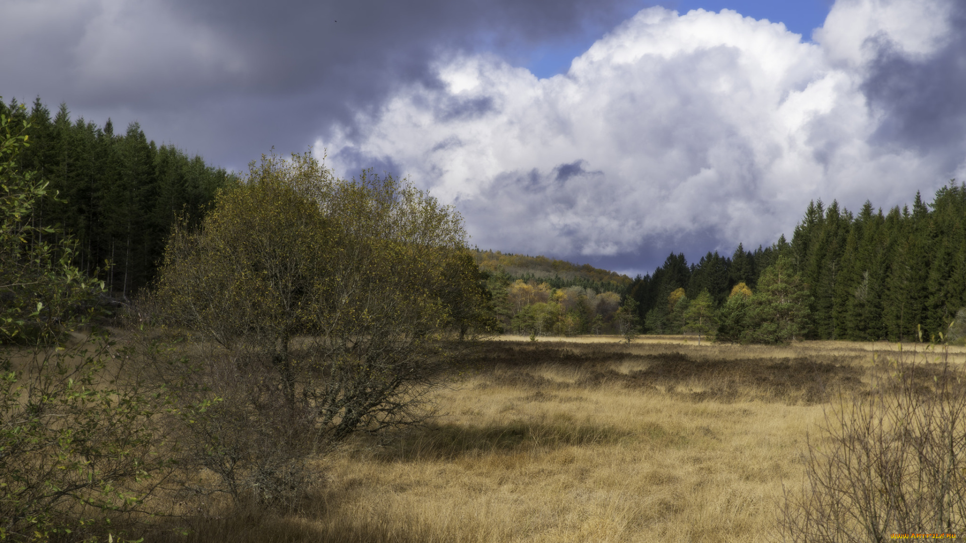 природа, пейзажи, простор