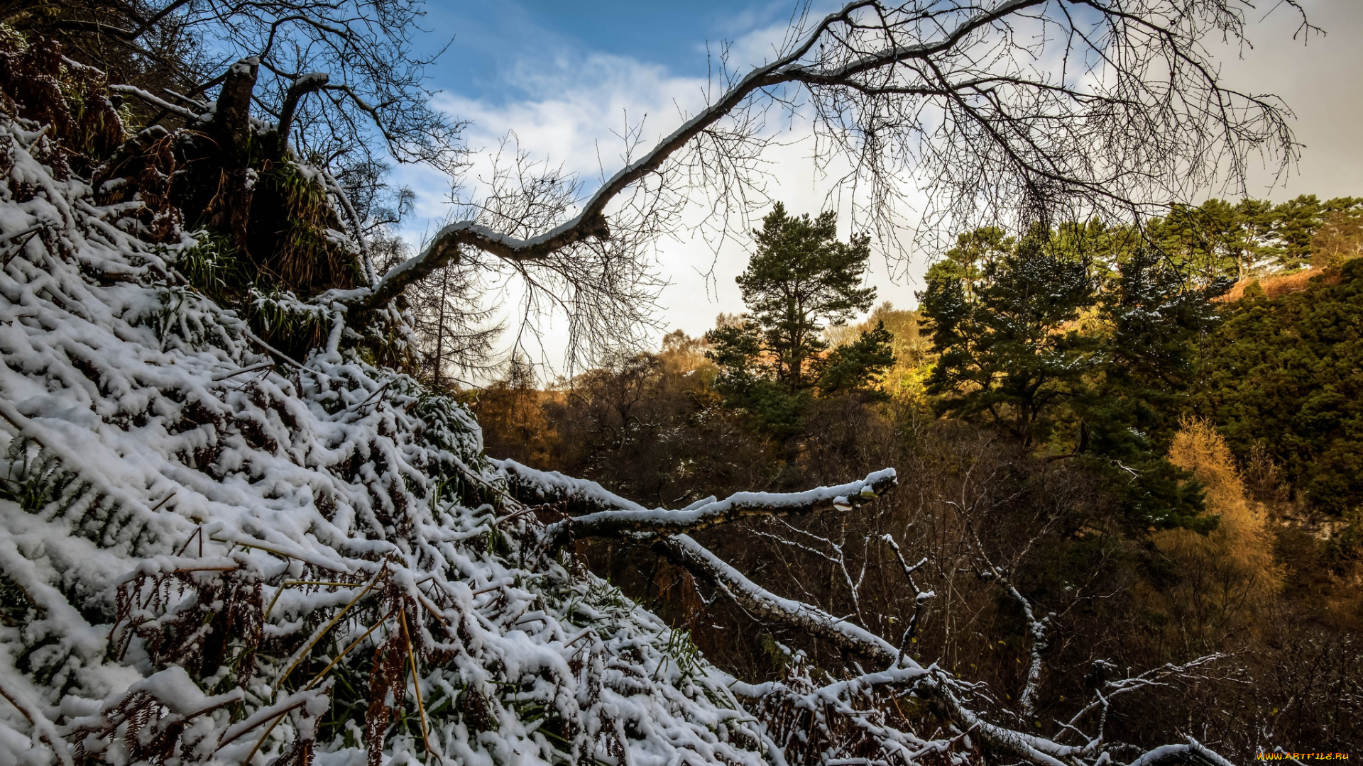 природа, пейзажи, простор